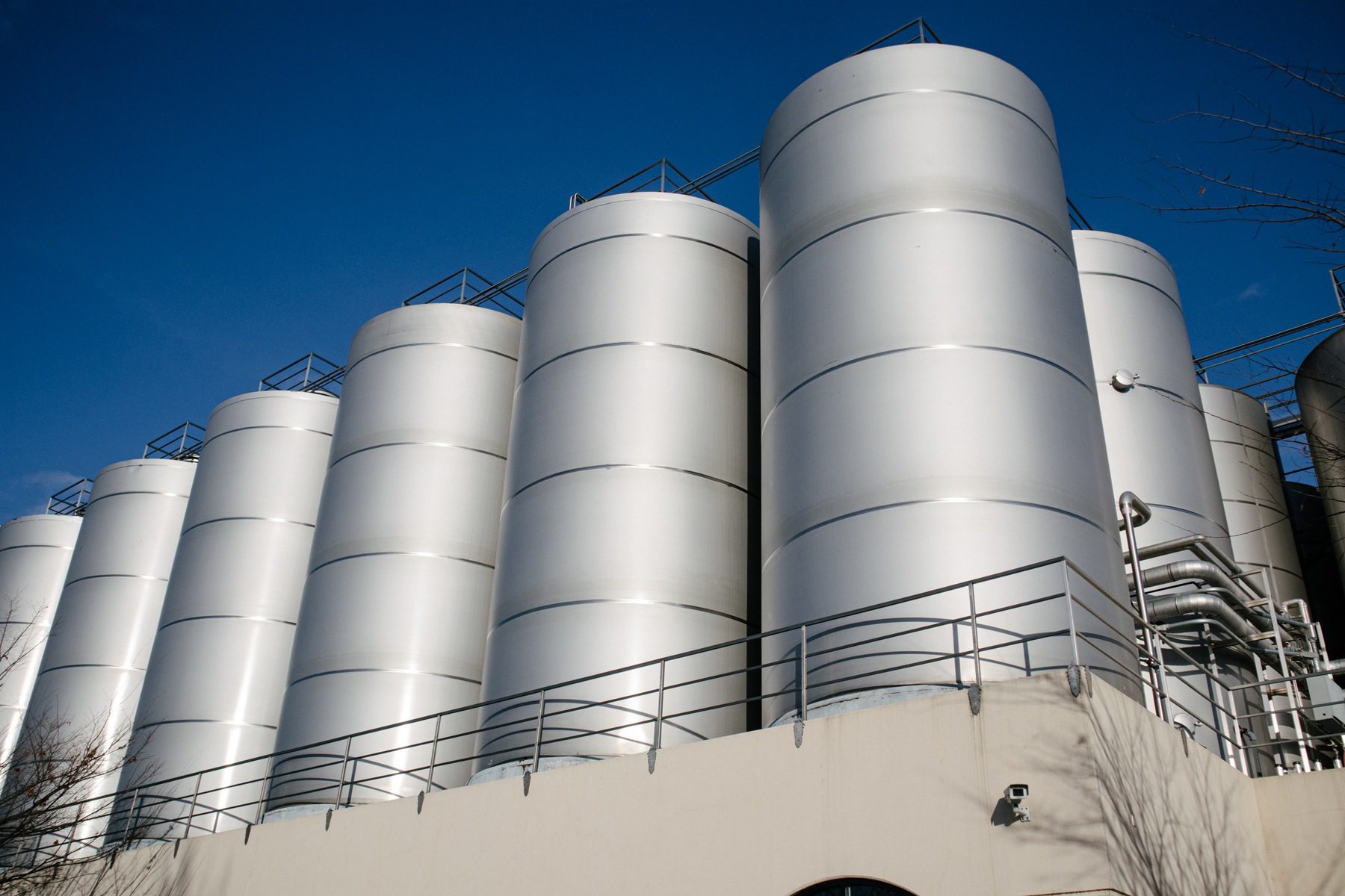 Looking skyward at 800-barrel fermentation tanks at Sierra Nevada Brewing Co.
