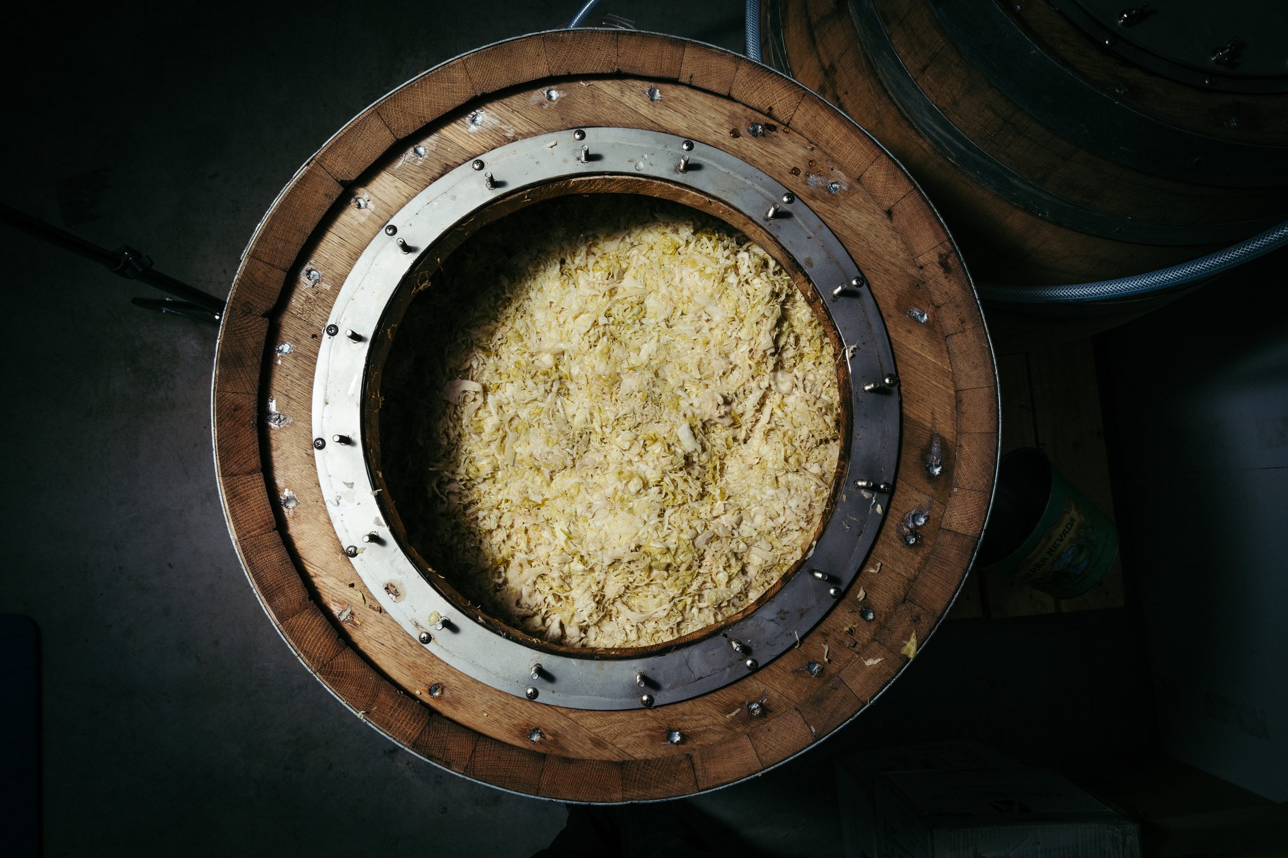 Overhead view of sauerkraut inside a beer barrel