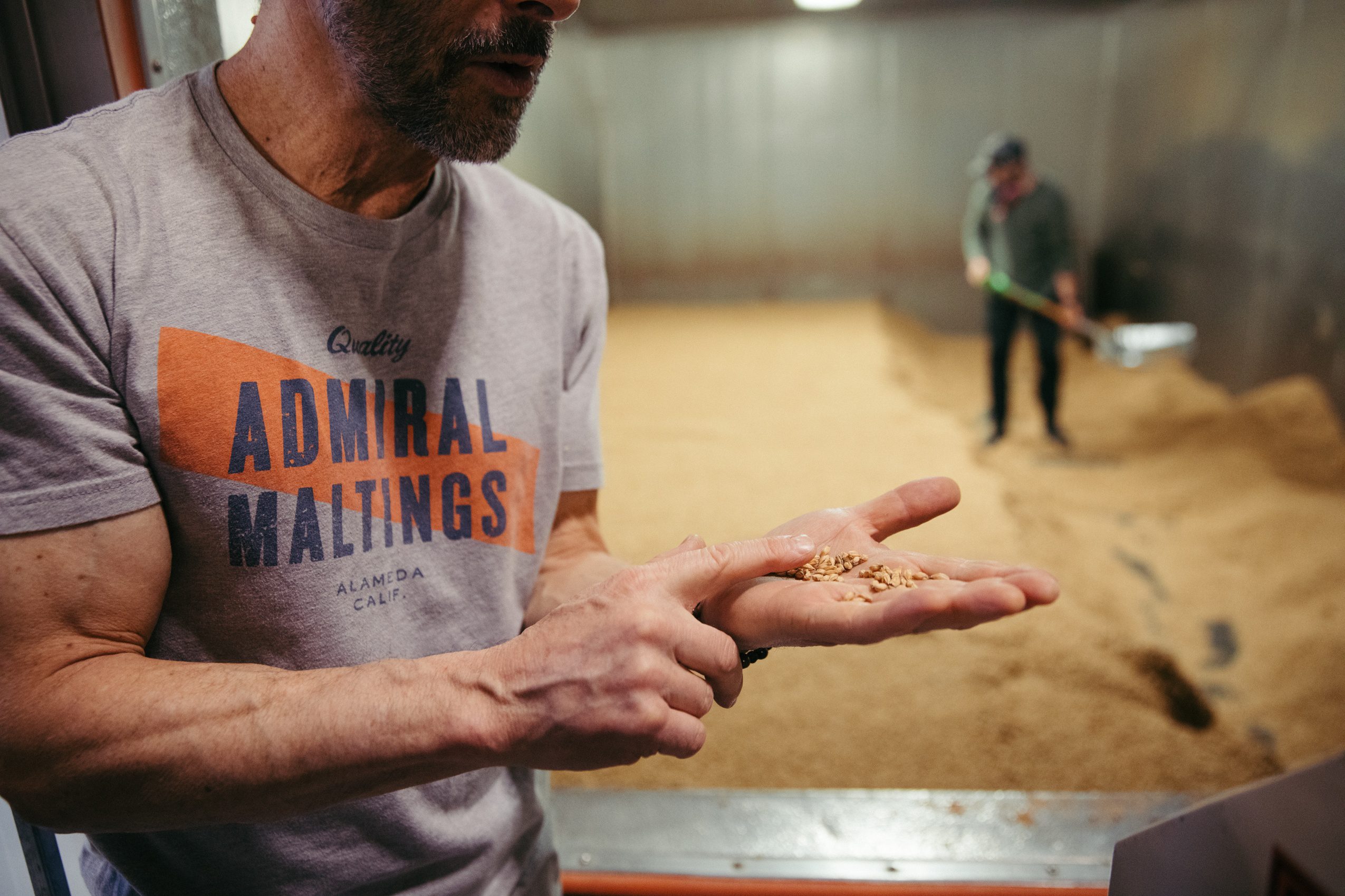 Maltster displaying a handful of malt in front of the drying kiln