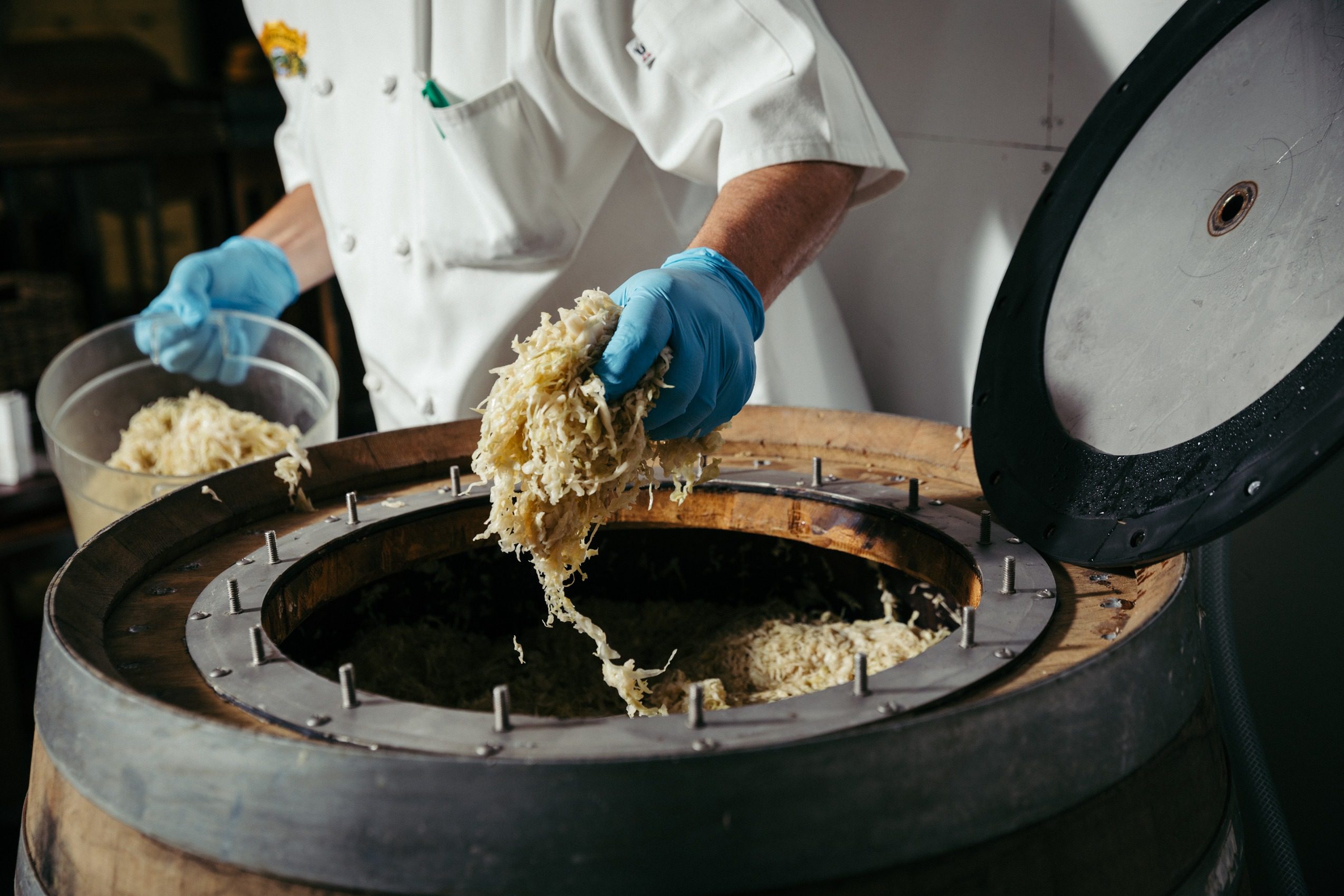 A chef pulling a handful of sauerkraut out of a beer barrel