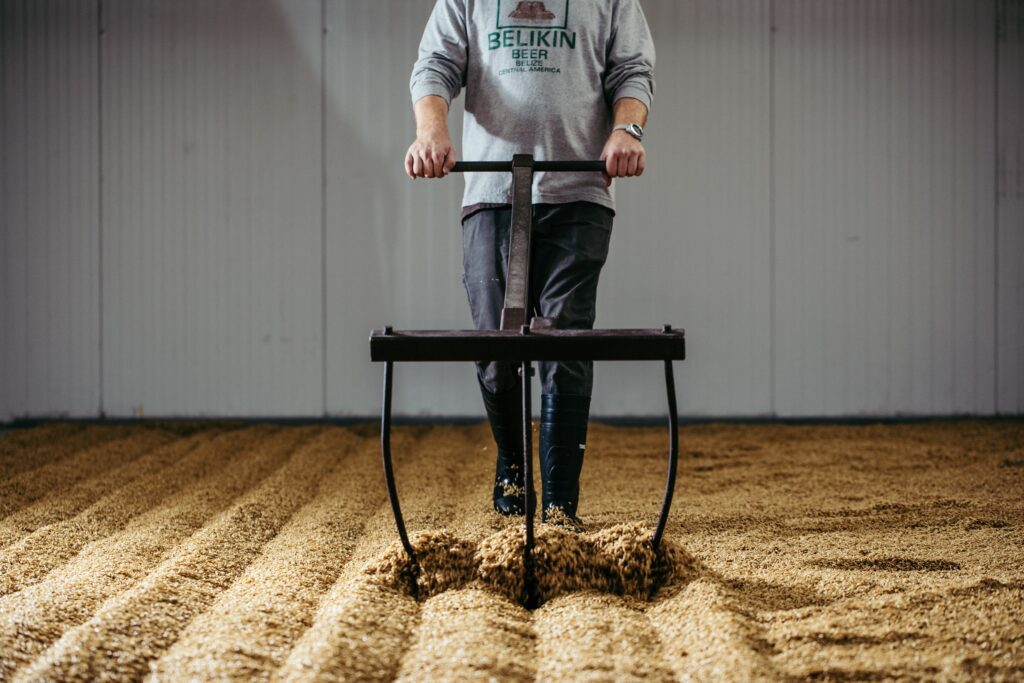 A craft maltster pulling a rake through grain that's being floor malted