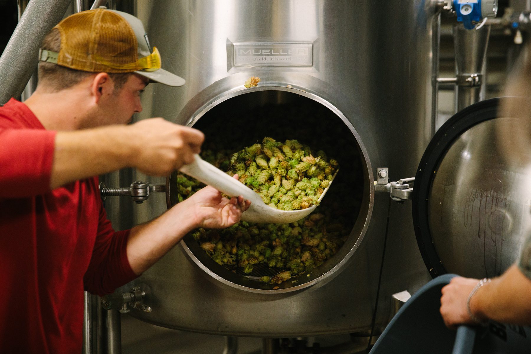Sierra Nevada brewer adding hops during brewing