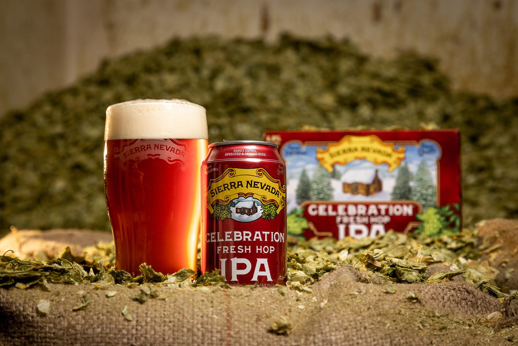 A can of Celebration IPA next to a full pint glass