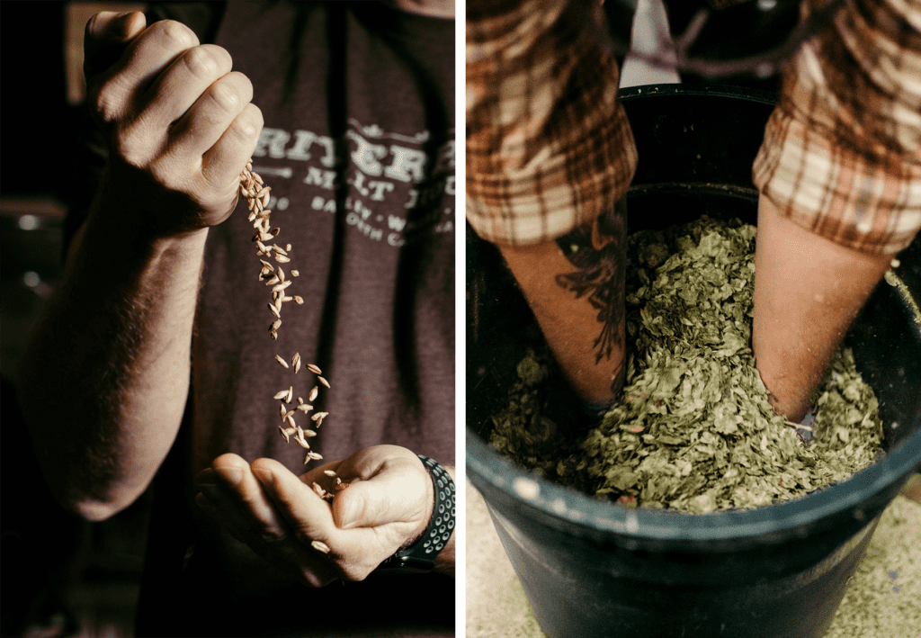 Pouring malt into hands, and digging hands into hops