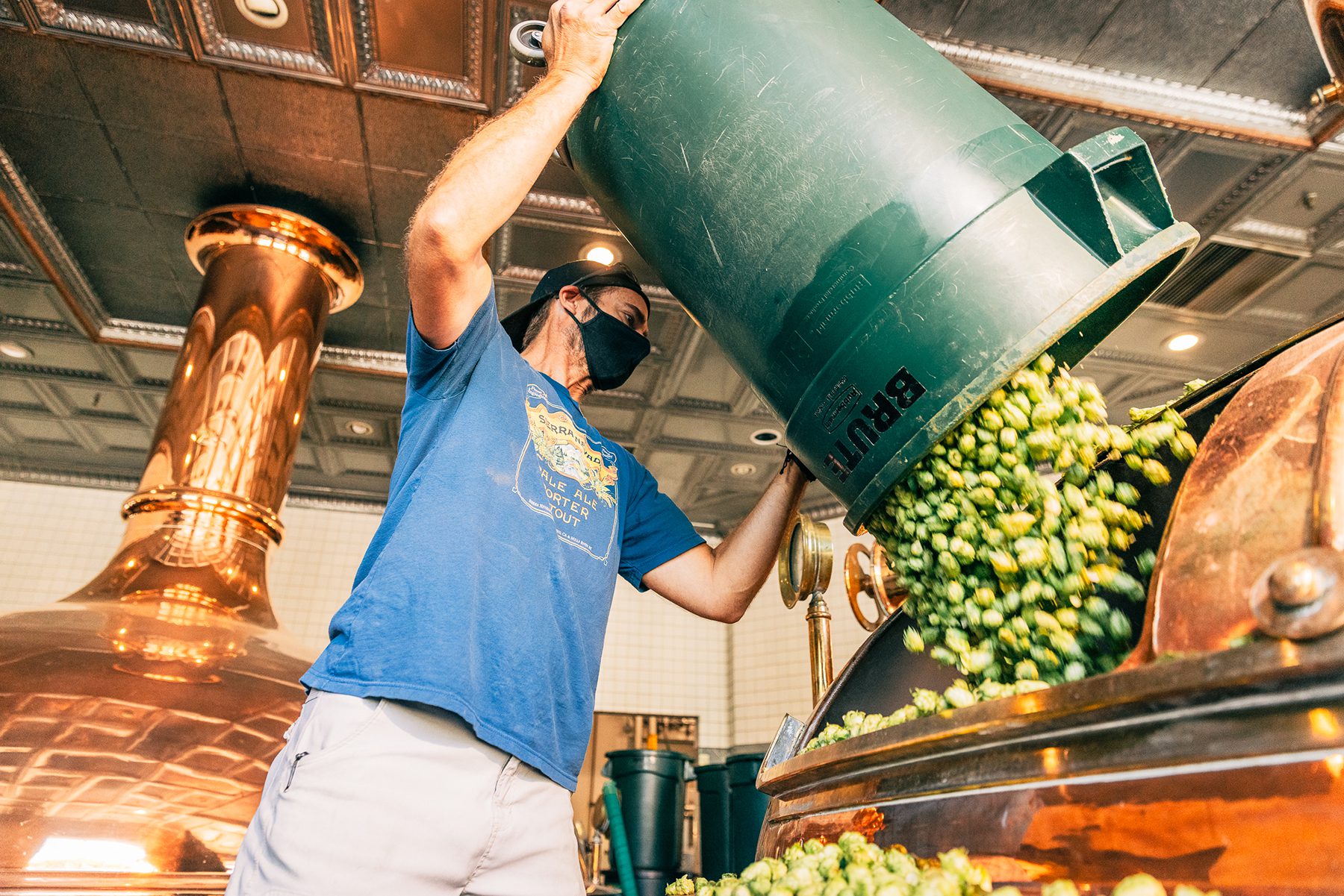 A Sierra Nevada brewer adding hops to the brew kettle