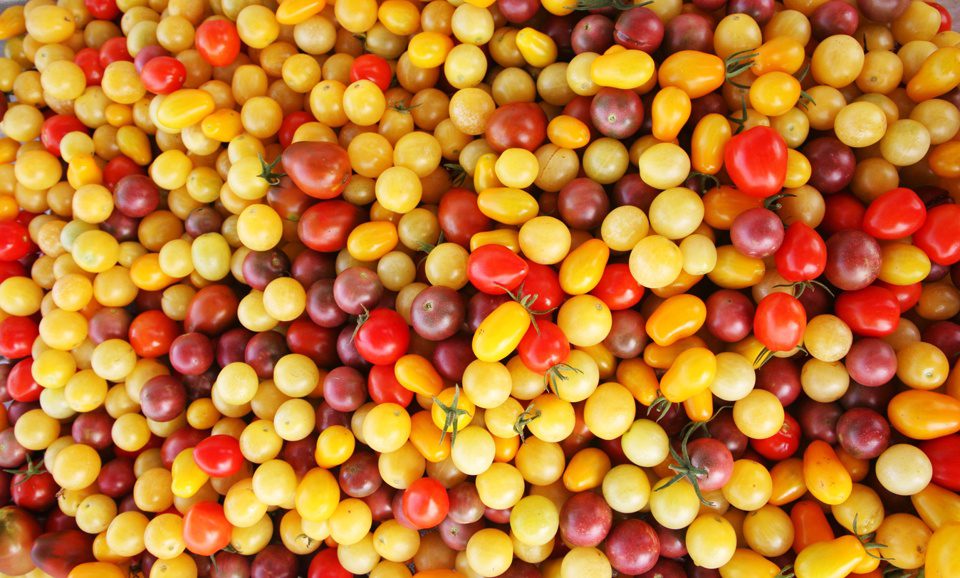 Overhead view of cherry tomatoes of various colors
