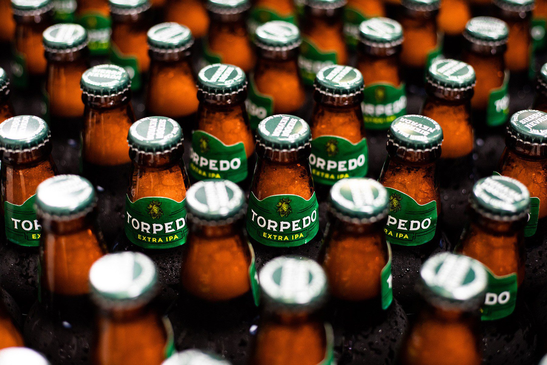 Dozens of bottles of Torpedo IPA on the packaging line at Sierra Nevada Brewing Company