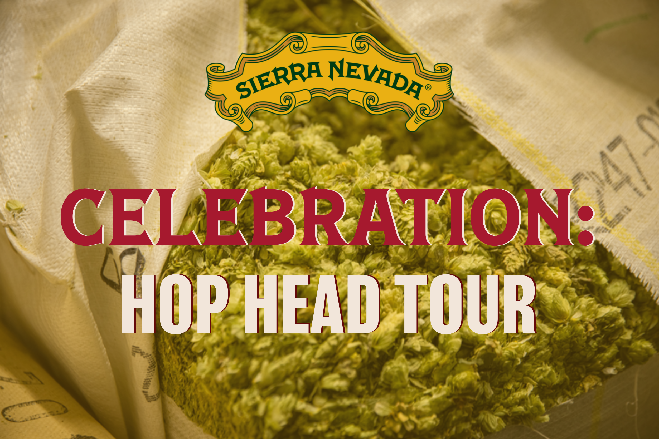 Celebration Hop Head Tour