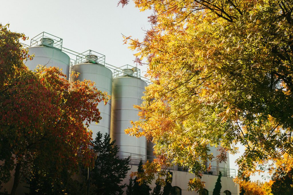 Beer fermentation tanks framed by colorful fall trees at Sierra Nevada Brewing Co.