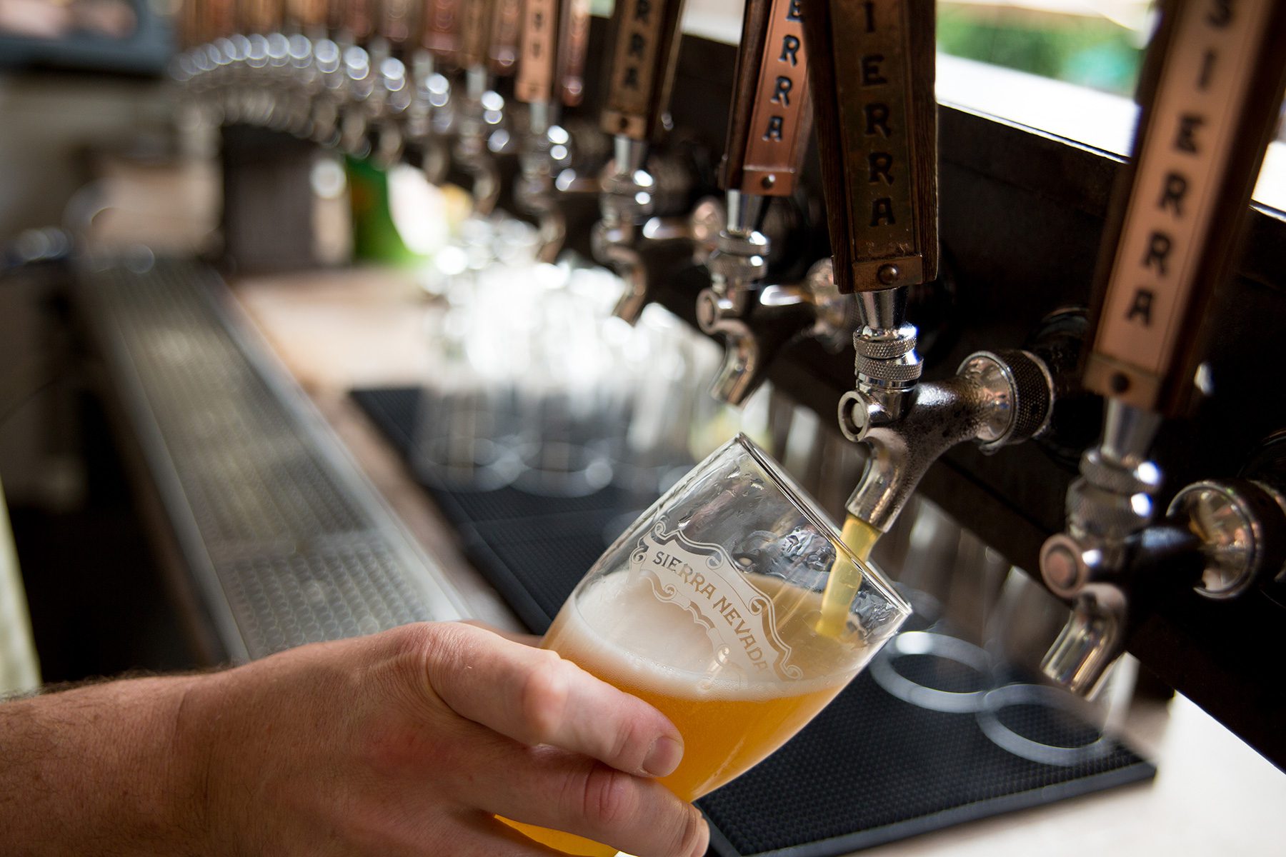 Lager Examples Pilsner vs. Lager | Sierra Nevada Brewing Co.