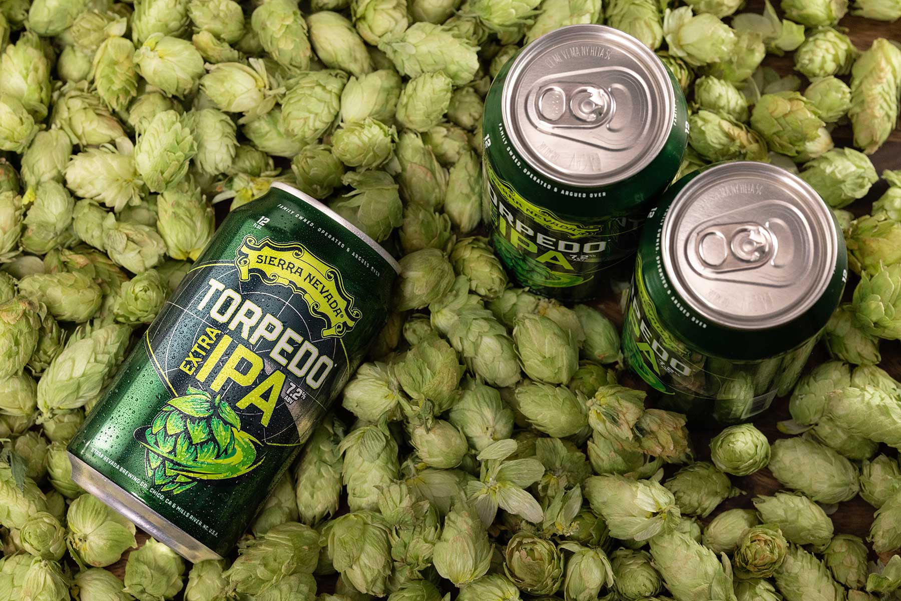 Three cans of Sierra Nevada Torpedo IPA in a bed of hops