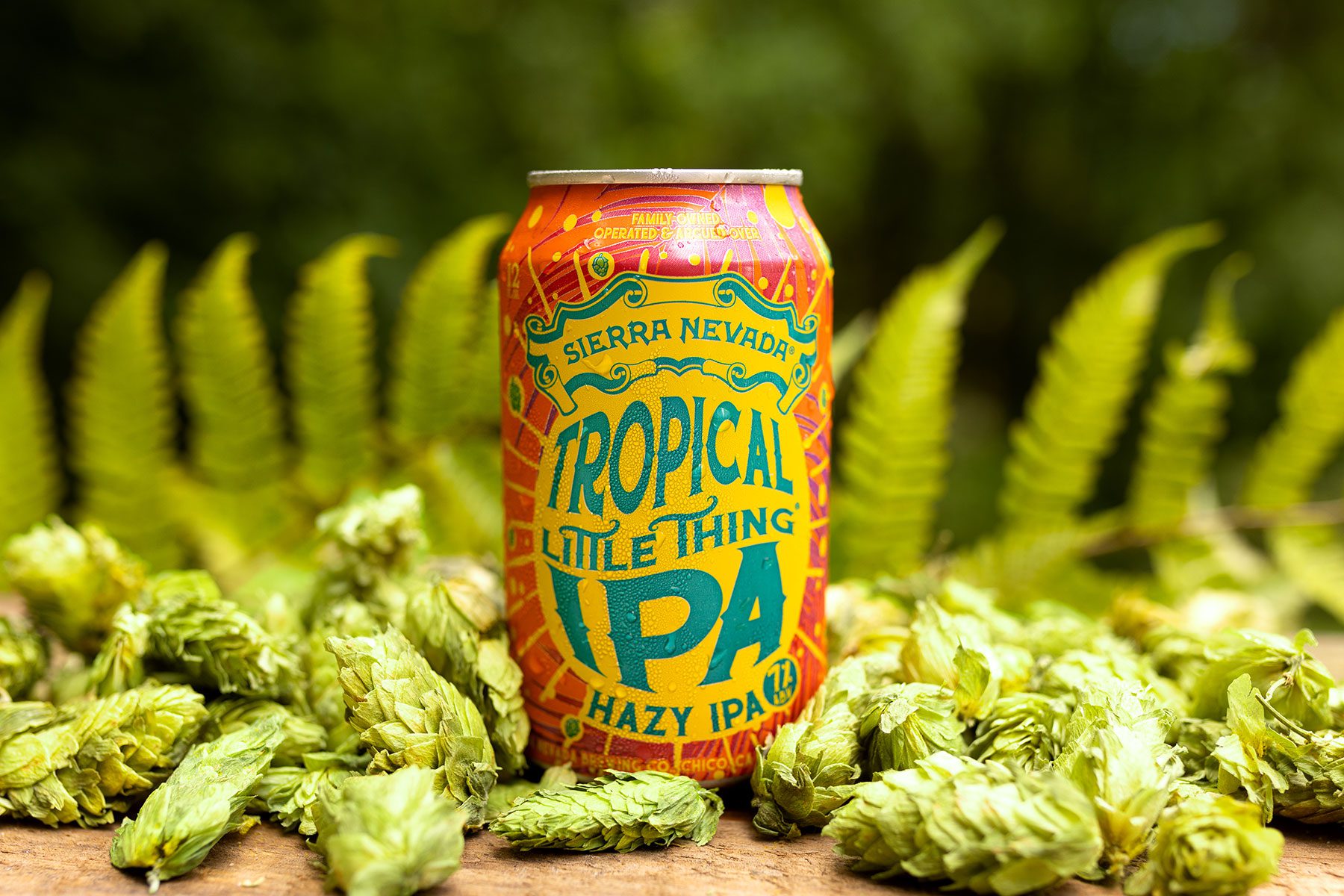A can of Tropical Little Thing surrounded by hops and tropical greenery