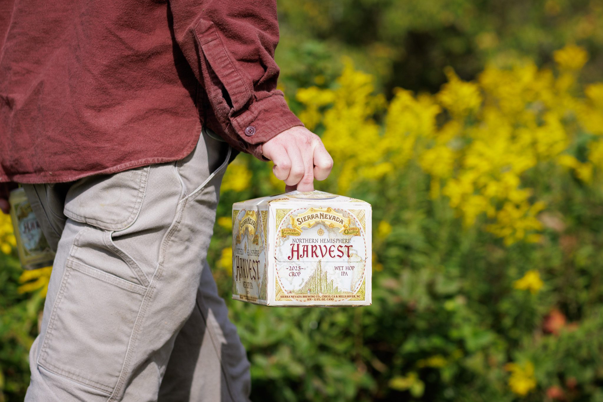 Person carrying a six-pack of Northern Hemisphere Harvest Wet Hop IPA next to a flowery garden