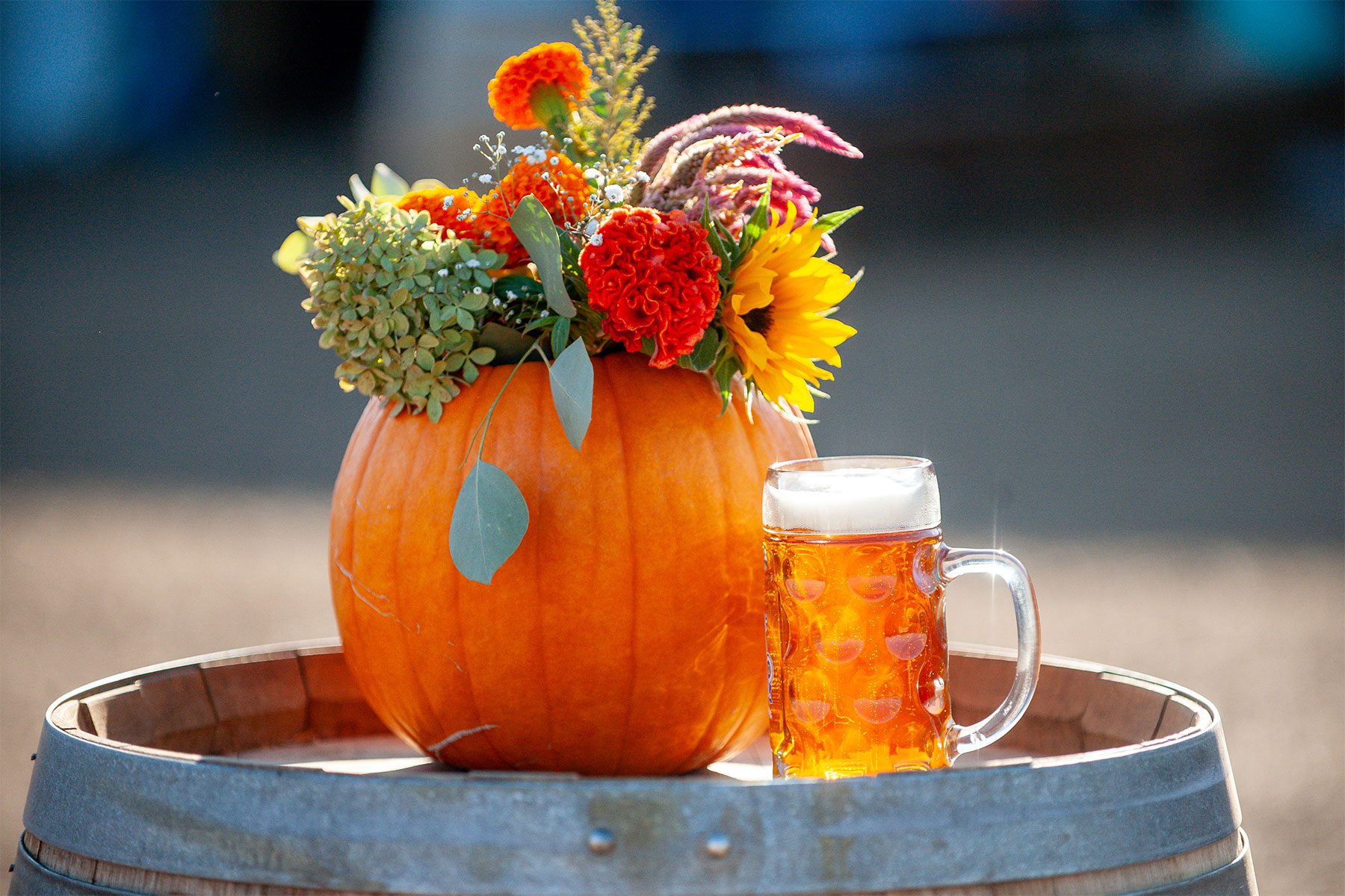 Flowers in a pumpkin vase next to a stein of Oktoberfest beer